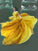 A-Line/Princess Off-the-Shoulder Sleeveless Sweep/Brush Train Beading Satin Chiffon Dresses HEP0002602