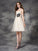 A-line/Princess Sweetheart Applique Sleeveless Short Net Dresses HEP0008793