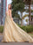 A-Line/Princess Sleeveless V-neck Sweep/Brush Train Ruched Tulle Dresses HEP0001579